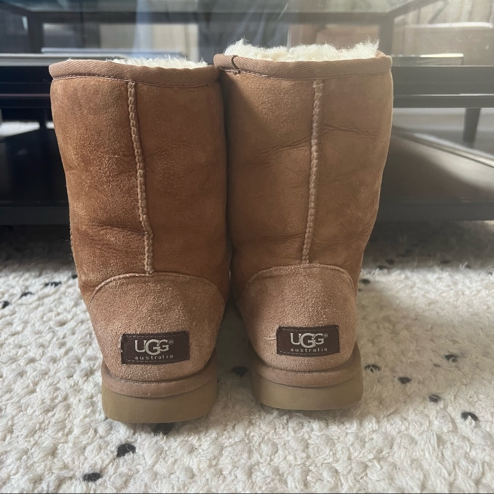 Short Chestnut Uggs
